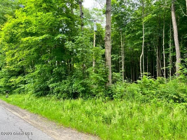 Lot 1 McGregor Road, Johnstown, NY 12078