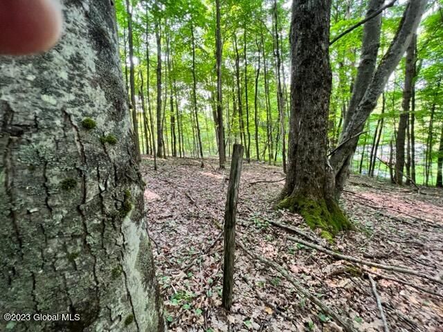 Lot 1 McGregor Road, Johnstown, NY 12078