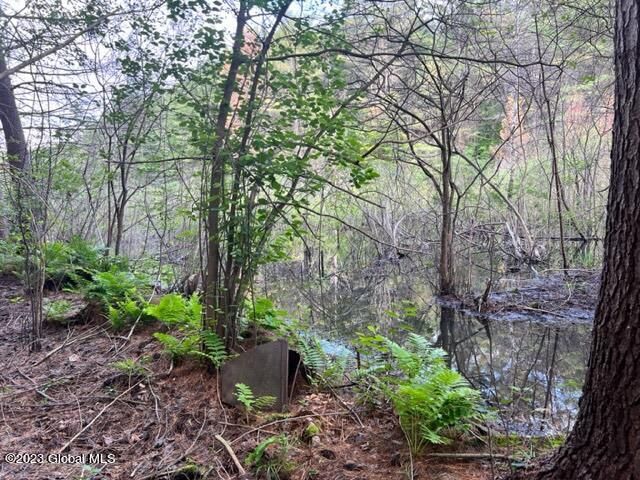 Lot 1 McGregor Road, Johnstown, NY 12078