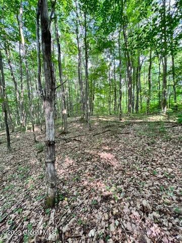 Lot 1 McGregor Road, Johnstown, NY 12078