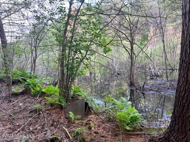 Lot 1 McGregor Road, Johnstown, NY 12078