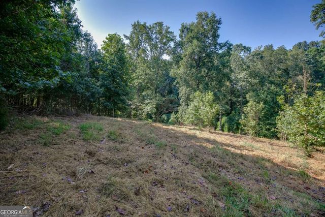 0 Hendrix Road, Cumming, GA 30040