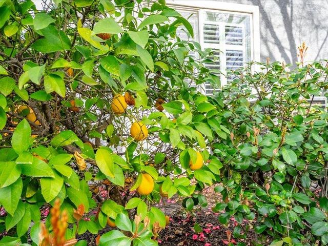 316 Sandstone Ct, Roseville, CA 95747