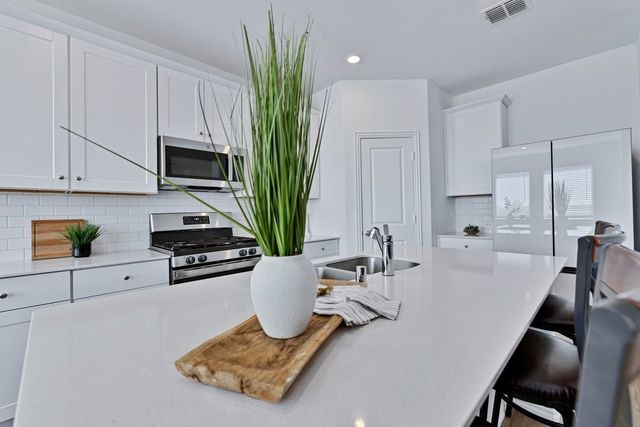 1128 Chip Street, Little Elm, TX 75068