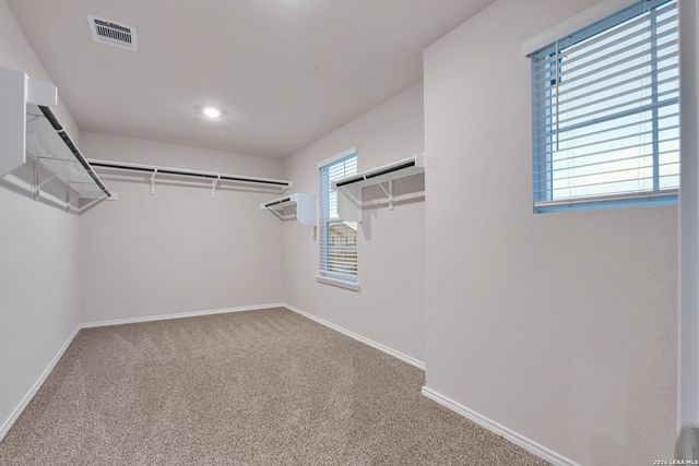 171 Little Owl, San Antonio, TX 78253