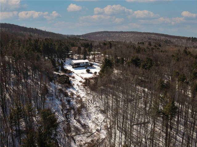 260 State Highway 28, Oneonta, NY 13820