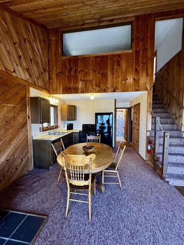 4667 N Lakeshore Drive, Mears, MI 49436