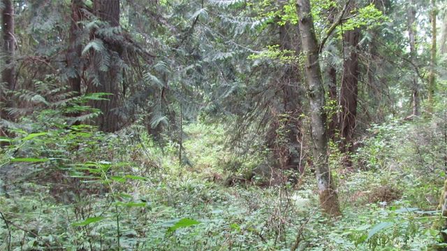 0 Midvale Road, Clinton, WA 98236