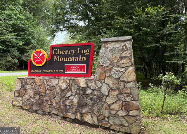 266 Chimney Rock Road 462, Cherry Log, GA 30522