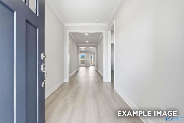 162 Hidden River Drive, Madison, AL 35756