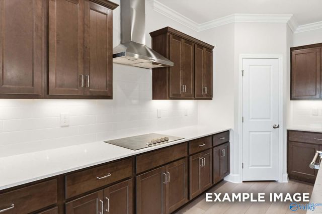 162 Hidden River Drive, Madison, AL 35756