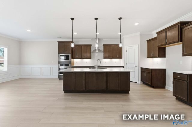 162 Hidden River Drive, Madison, AL 35756