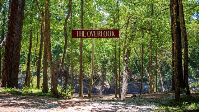 22029 Gateway Arch Drive, Porter, TX 77365