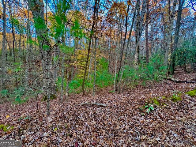 296 Valley View Road, Ellijay, GA 30536