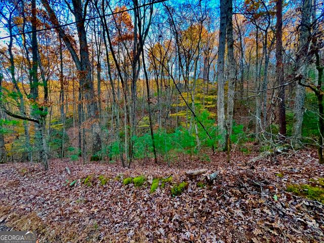 296 Valley View Road, Ellijay, GA 30536