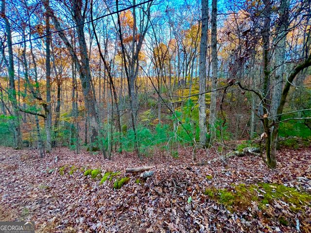 296 Valley View Road, Ellijay, GA 30536