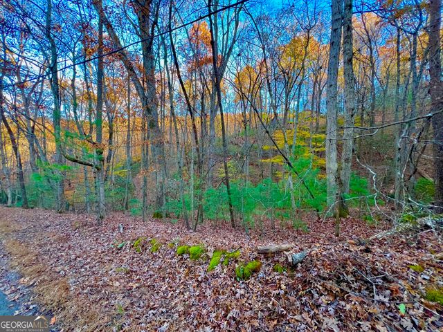 296 Valley View Road, Ellijay, GA 30536