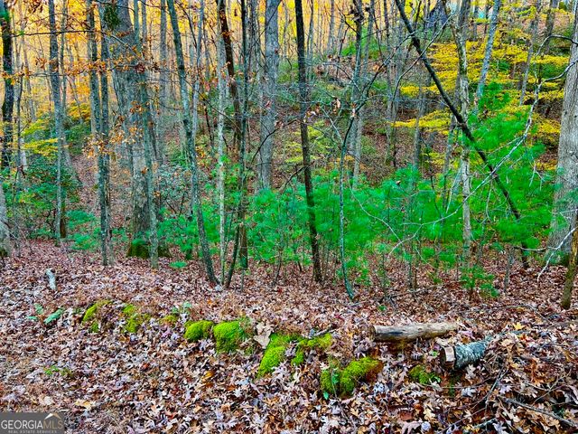 296 Valley View Road, Ellijay, GA 30536