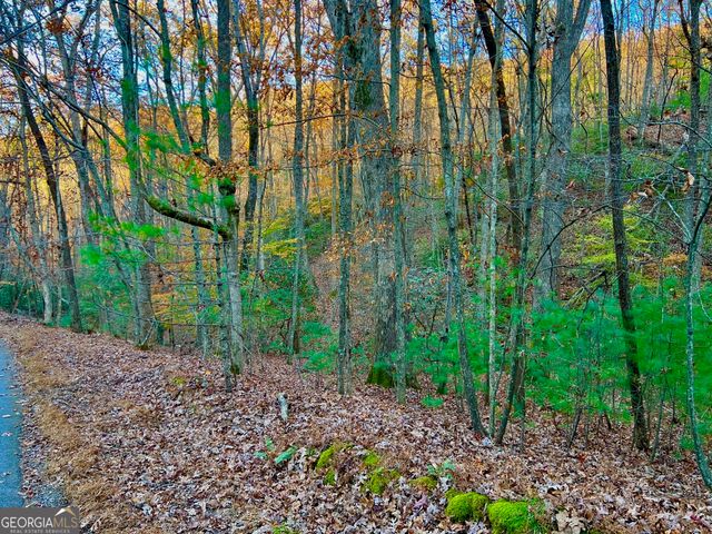 296 Valley View Road, Ellijay, GA 30536