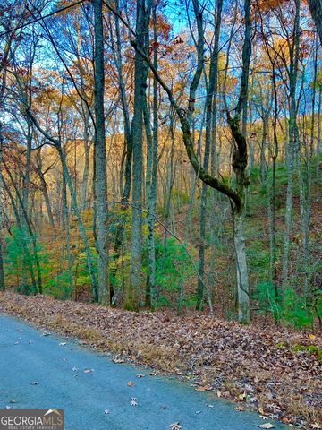 296 Valley View Road, Ellijay, GA 30536