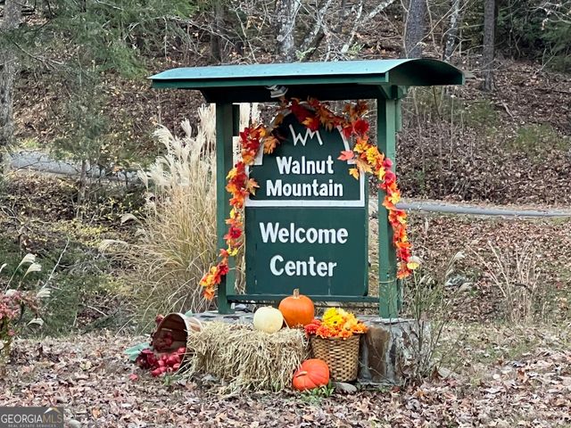 296 Valley View Road, Ellijay, GA 30536