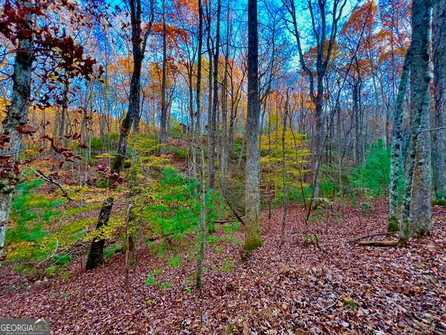 296 Valley View Road, Ellijay, GA 30536