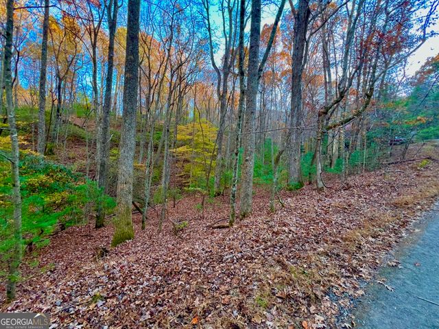 296 Valley View Road, Ellijay, GA 30536