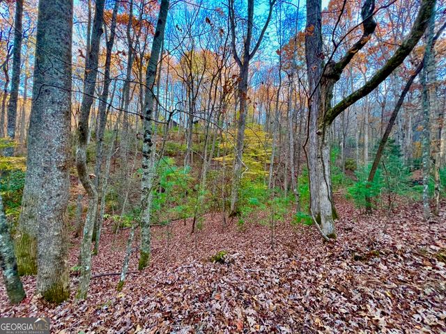 296 Valley View Road, Ellijay, GA 30536