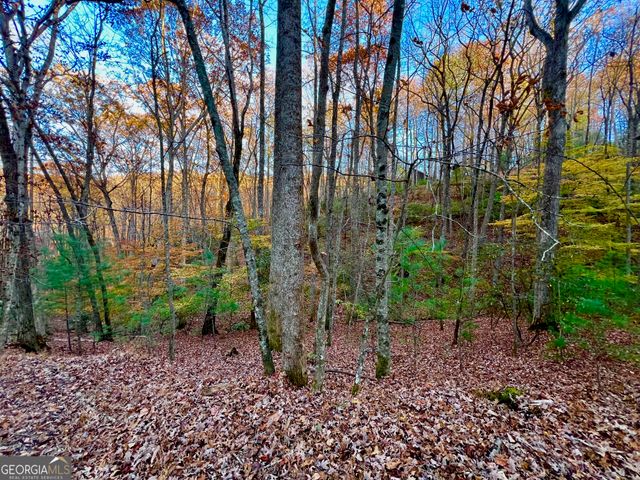 296 Valley View Road, Ellijay, GA 30536