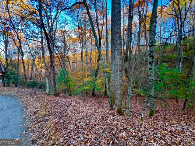 296 Valley View Road, Ellijay, GA 30536