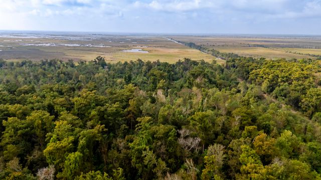 4306 Hwy 56, Houma, LA 70363