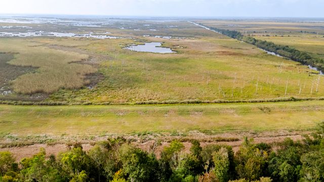 4306 Hwy 56, Houma, LA 70363