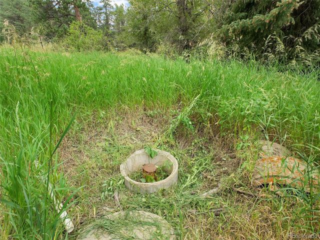 5411 Parmalee Gulch Road, Indian Hills, CO 80454