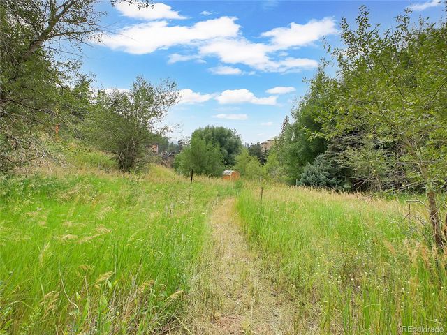 5411 Parmalee Gulch Road, Indian Hills, CO 80454
