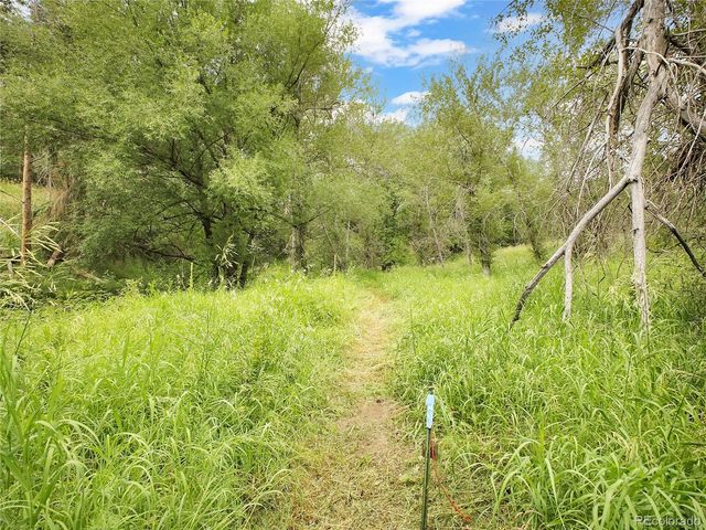 5411 Parmalee Gulch Road, Indian Hills, CO 80454