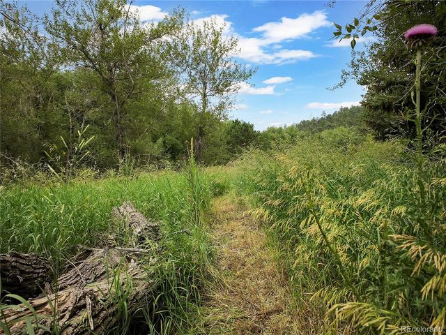 5411 Parmalee Gulch Road, Indian Hills, CO 80454