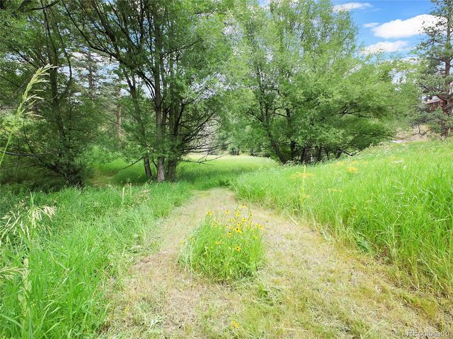 5411 Parmalee Gulch Road, Indian Hills, CO 80454