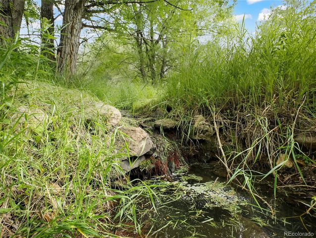 5411 Parmalee Gulch Road, Indian Hills, CO 80454