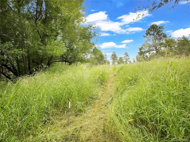 5411 Parmalee Gulch Road, Indian Hills, CO 80454