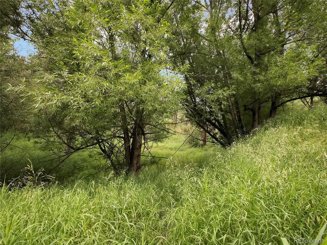 5411 Parmalee Gulch Road, Indian Hills, CO 80454