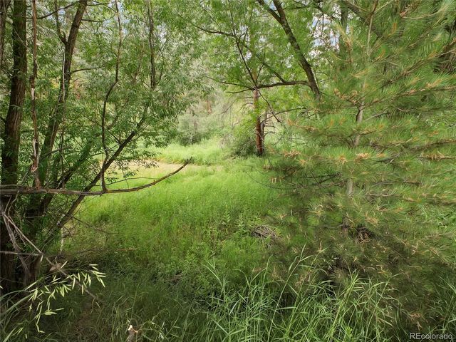 5411 Parmalee Gulch Road, Indian Hills, CO 80454