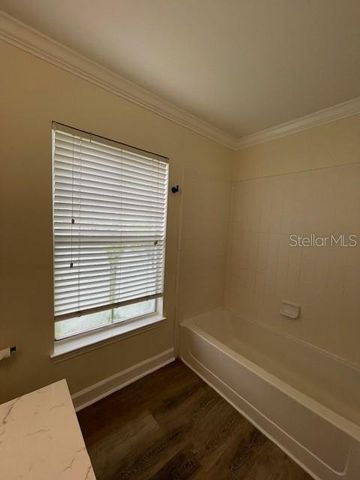 18319 BRIDLE CLUB DRIVE, Tampa, FL 33647