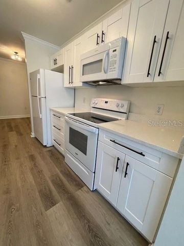 18319 BRIDLE CLUB DRIVE, Tampa, FL 33647