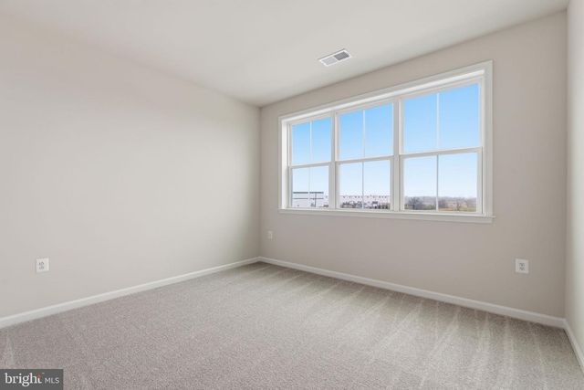 115 CASTAWAY, Winchester, VA 22603