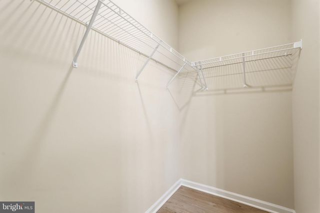 115 CASTAWAY, Winchester, VA 22603