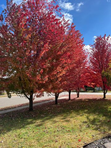 12125 Meadowlark Boulevard, Becker, MN 55308