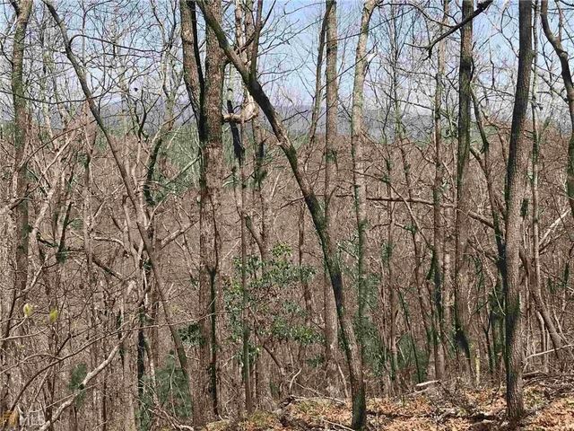 156 Cold Stream Trail, Jasper, GA 30143