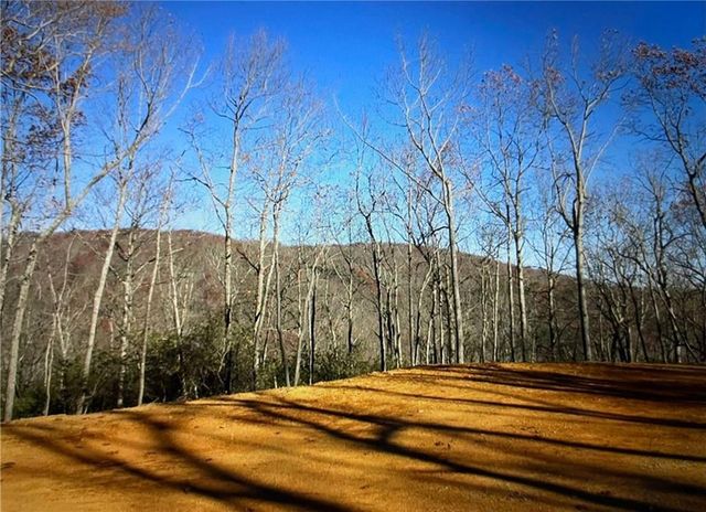 156 Cold Stream Trail, Jasper, GA 30143