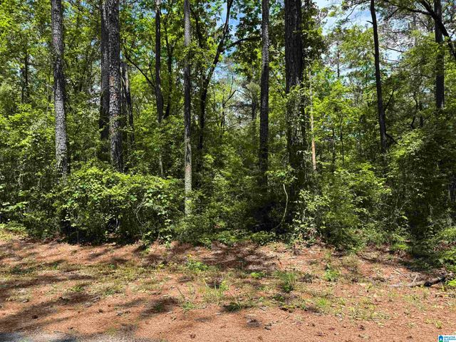 000 RIDGEWAY CIRCLE, Talladega, AL 35160