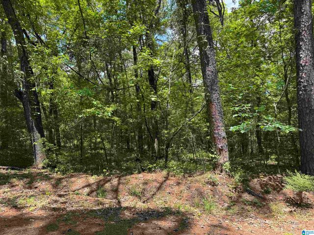 000 RIDGEWAY CIRCLE, Talladega, AL 35160